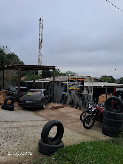 Borracharia do narigudo em Alvorada - RS