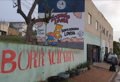 Borracharia Luvisa em Porto Alegre - RS