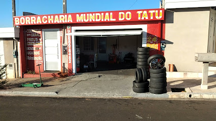 Borracharia mundial do tatu em Marília - SP