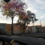 Imagem ilustrativa da empresa Borracharia Oliveira em Osasco - SP